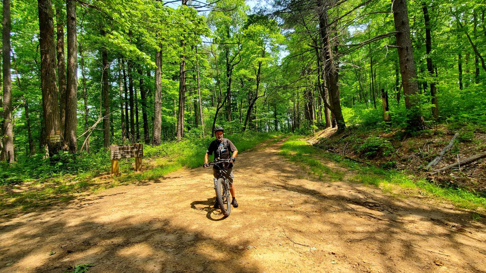 A person on a bicycle stands on a sunny dirt path in a green forest.