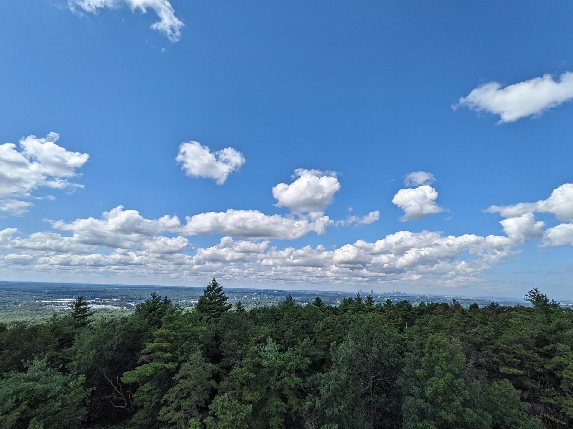 Vast green forest canopy under a bright blue sky with fluffy white clouds.