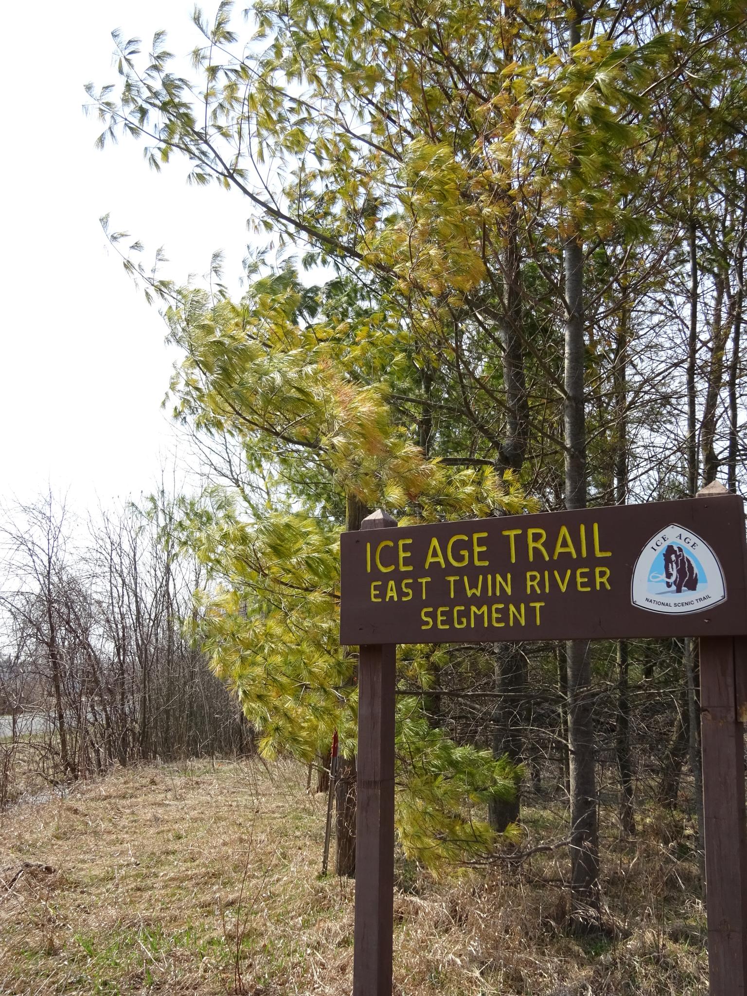 A wooden trail sign stands in a bright, forested area with dry grass.
