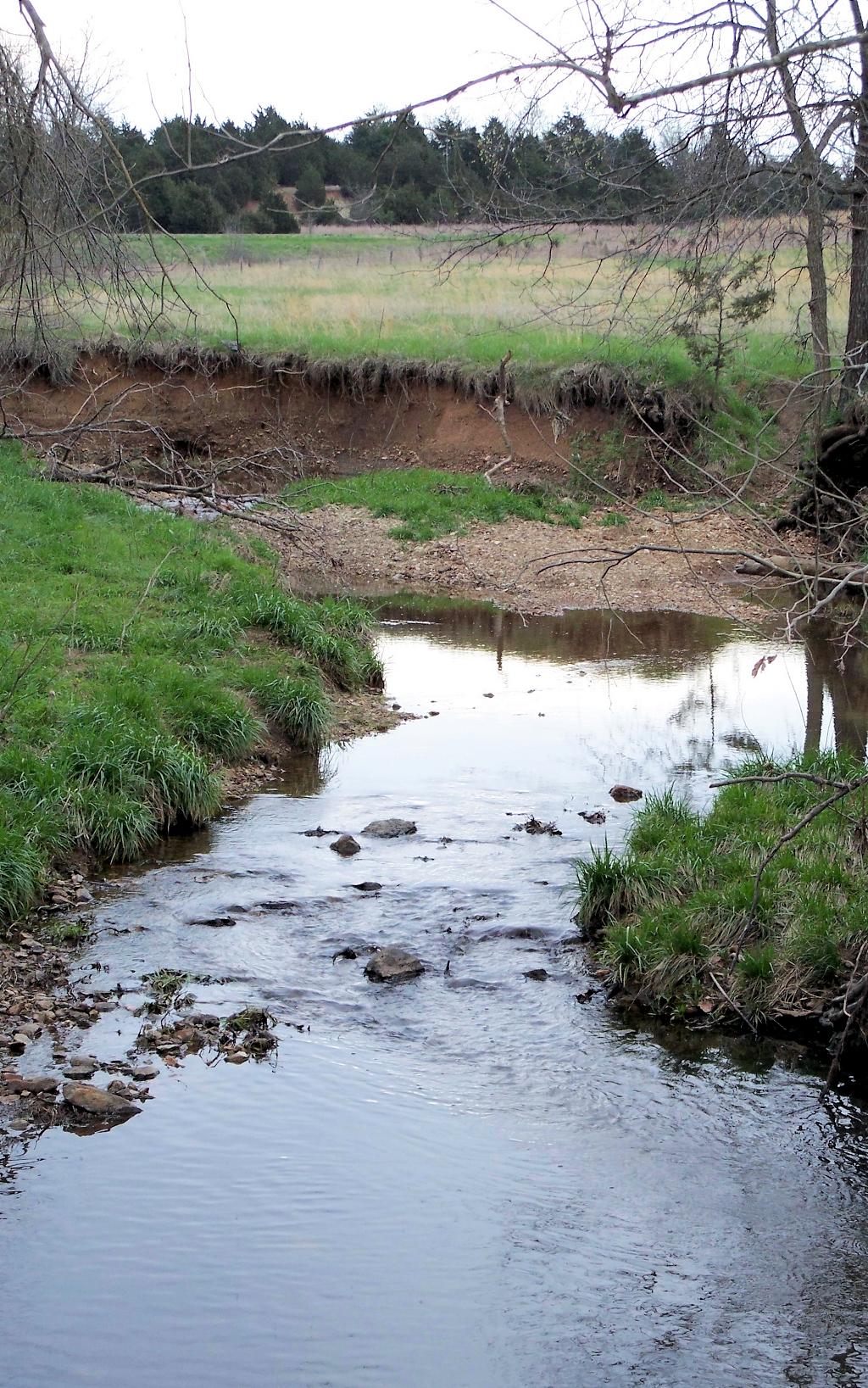 A small stream flows through a grassy landscape under an overcast sky.