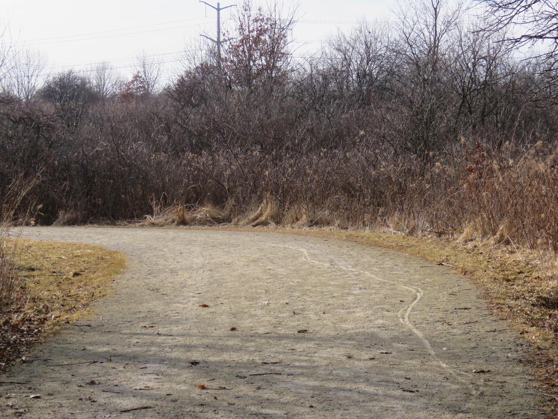 A dirt path curves left through dry brush and bare trees under an overcast sky.