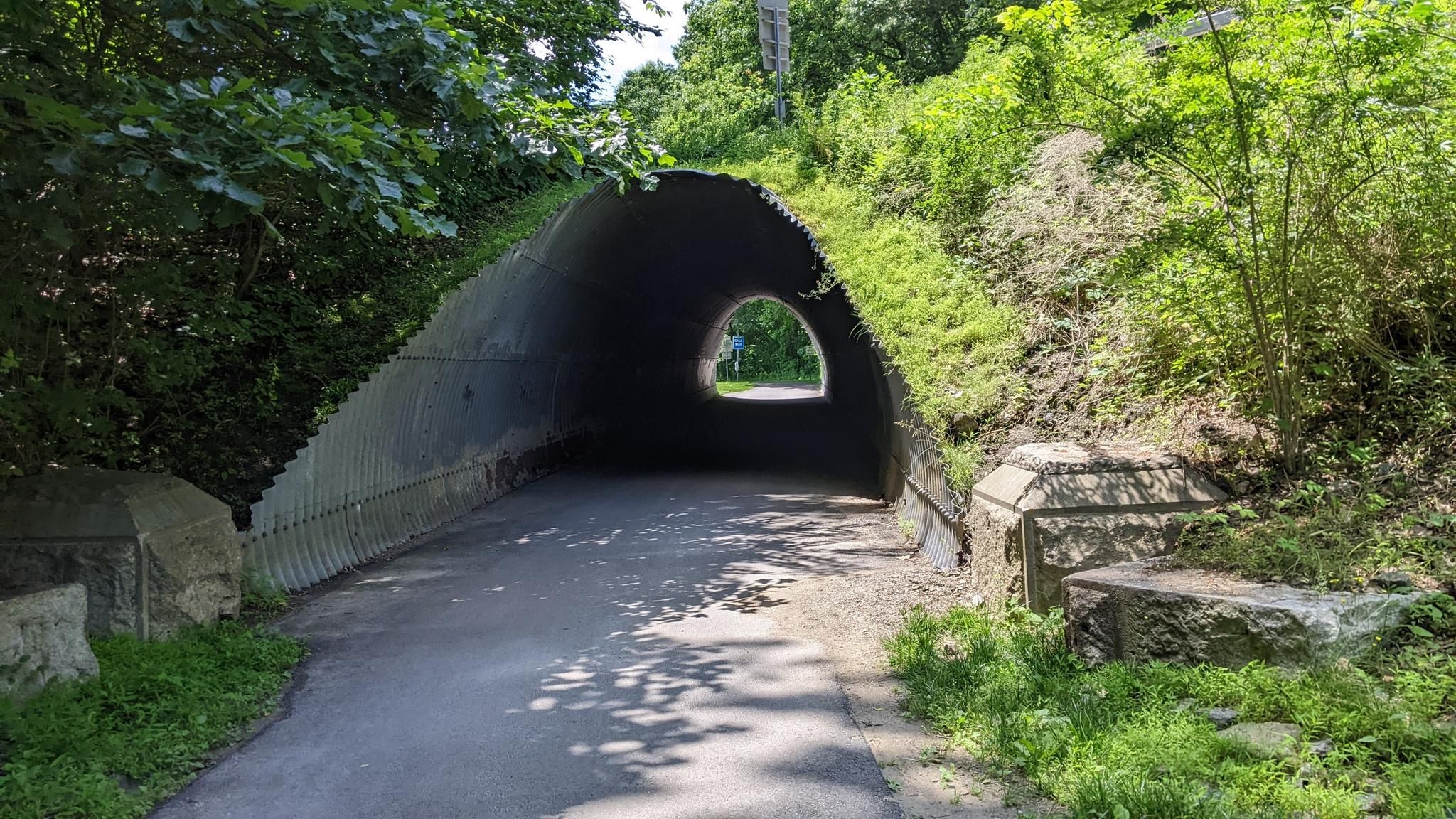 Paved tunnel entrance surrounded by green grass and trees, with light at the end. - Tunnel under Kitchawan Road loop from Westchester