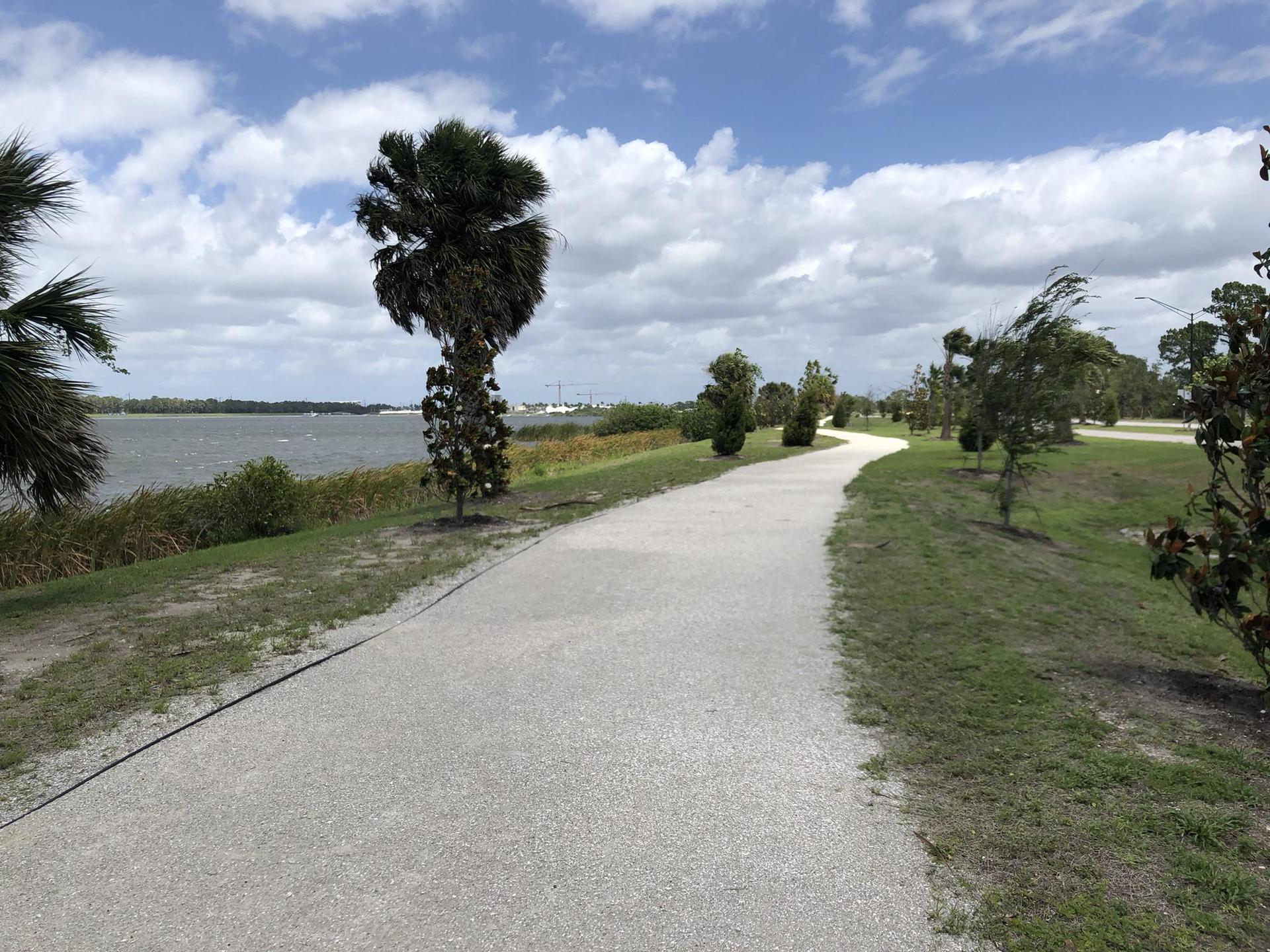 Winding gravel path with palm trees alongside a large body of water.