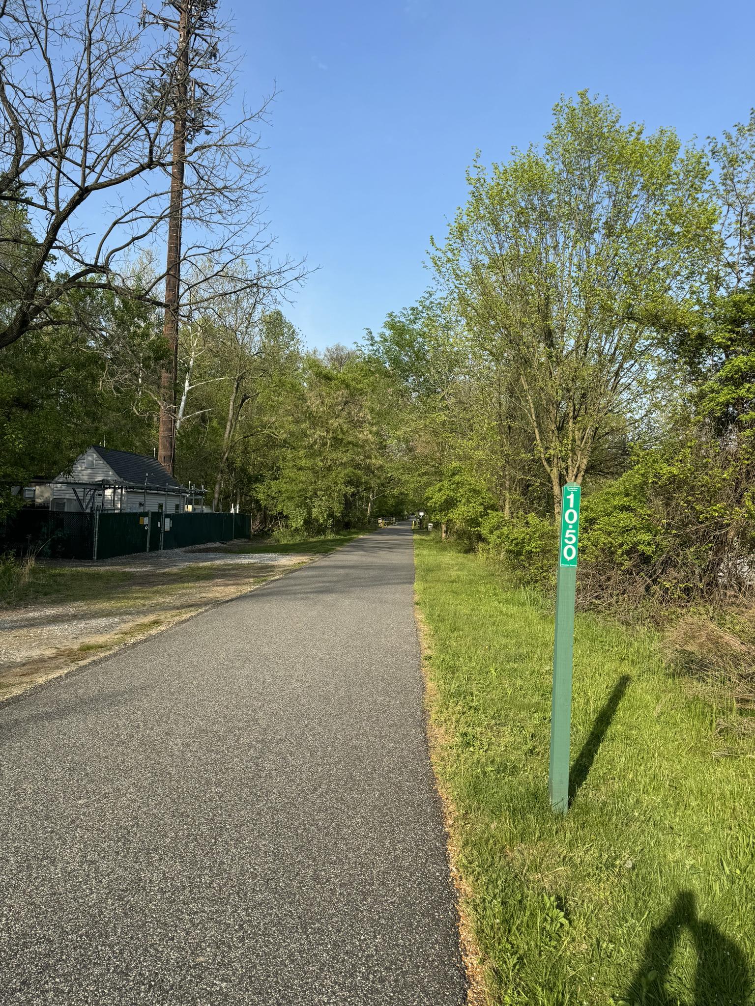 A paved path with a green marker, surrounded by trees, under blue sky.