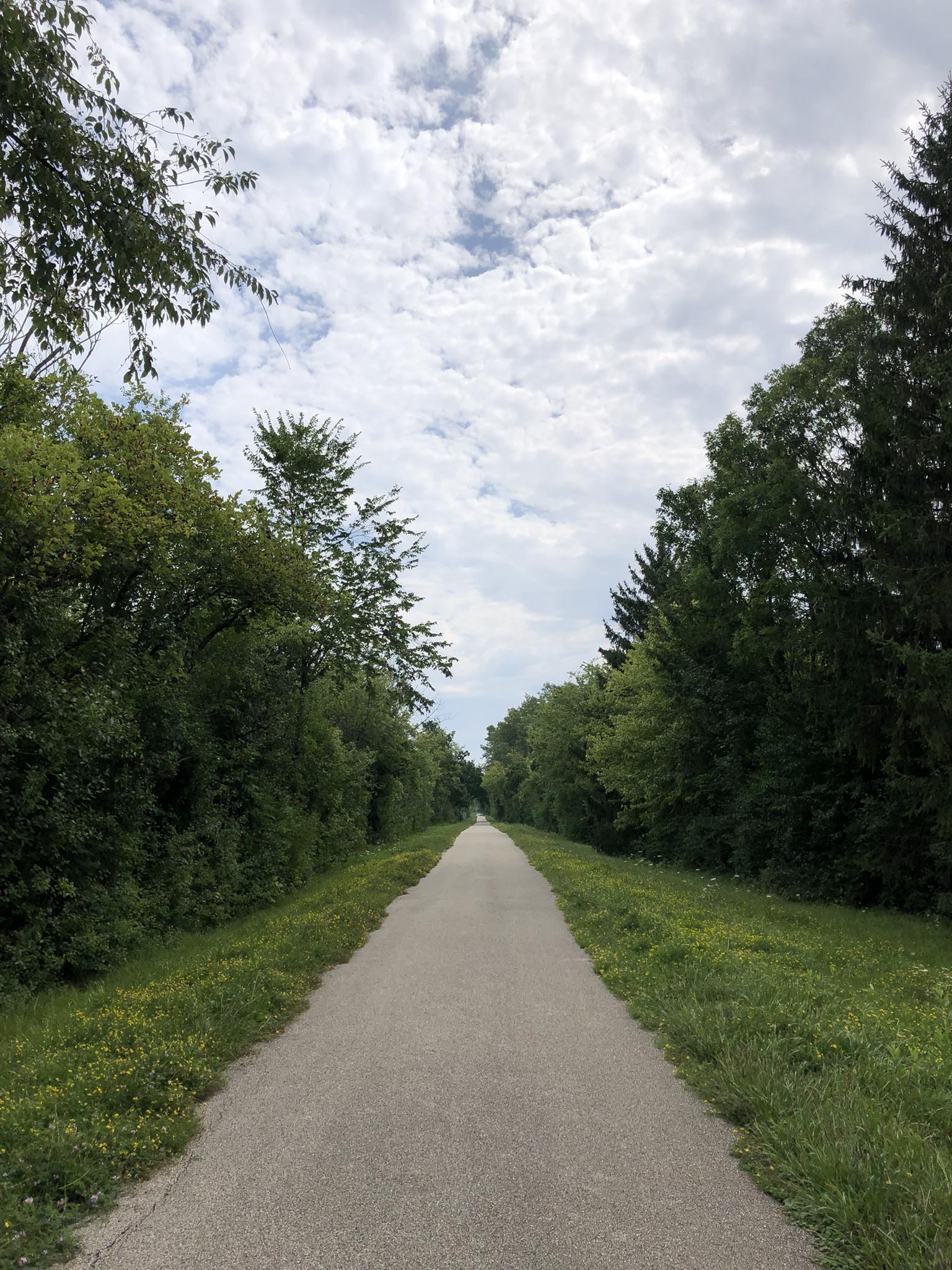 A straight paved path through a forest under a cloudy sky.