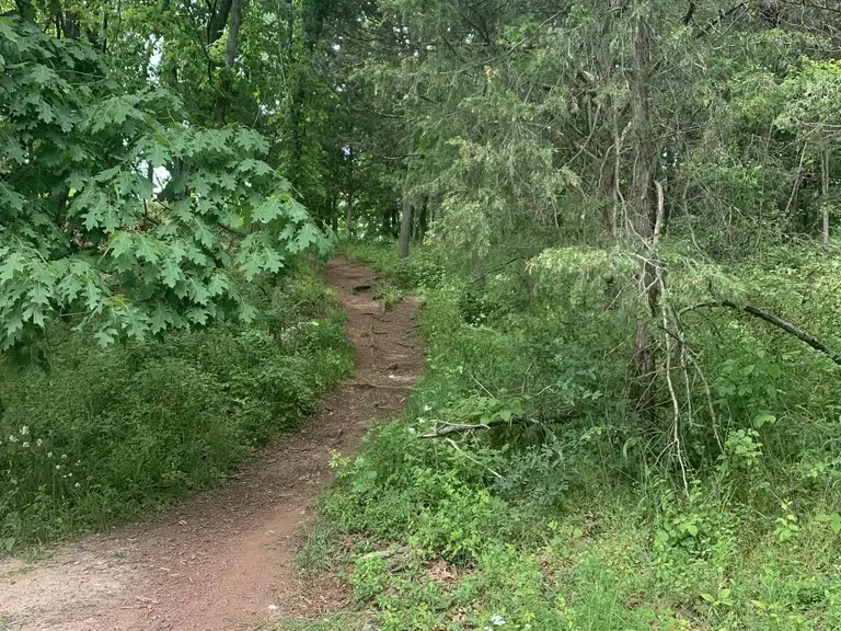Duke Island Park loop via Canal Trail — Raritan | hike | Komoot