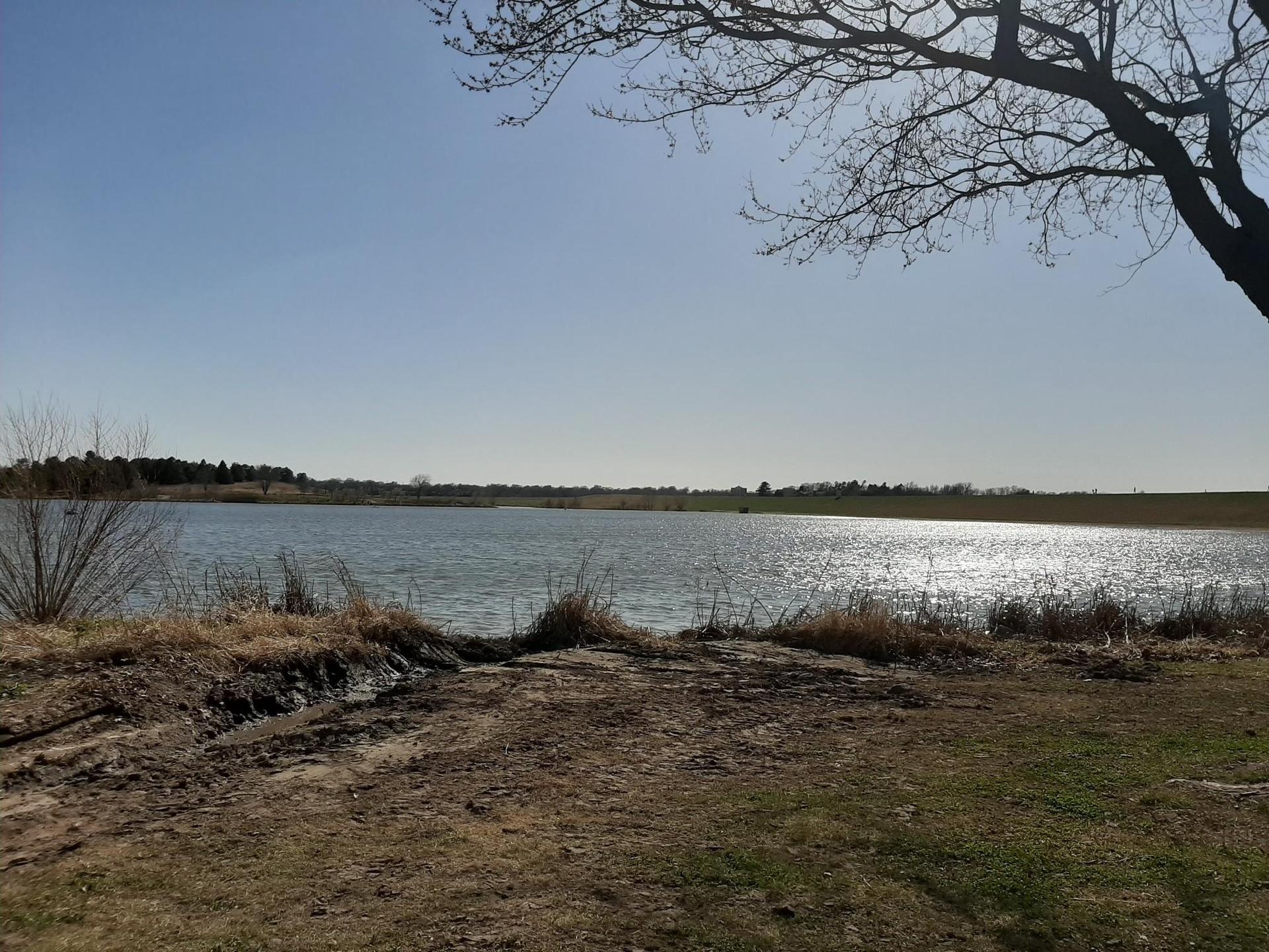 Sunny lake with sparkling water, bare tree branches, and a grassy shore.