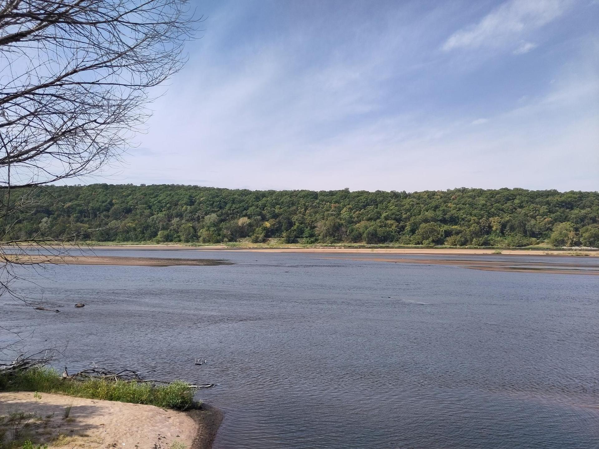 Wide river with a sandy bank and dense green forest under a bright sky.