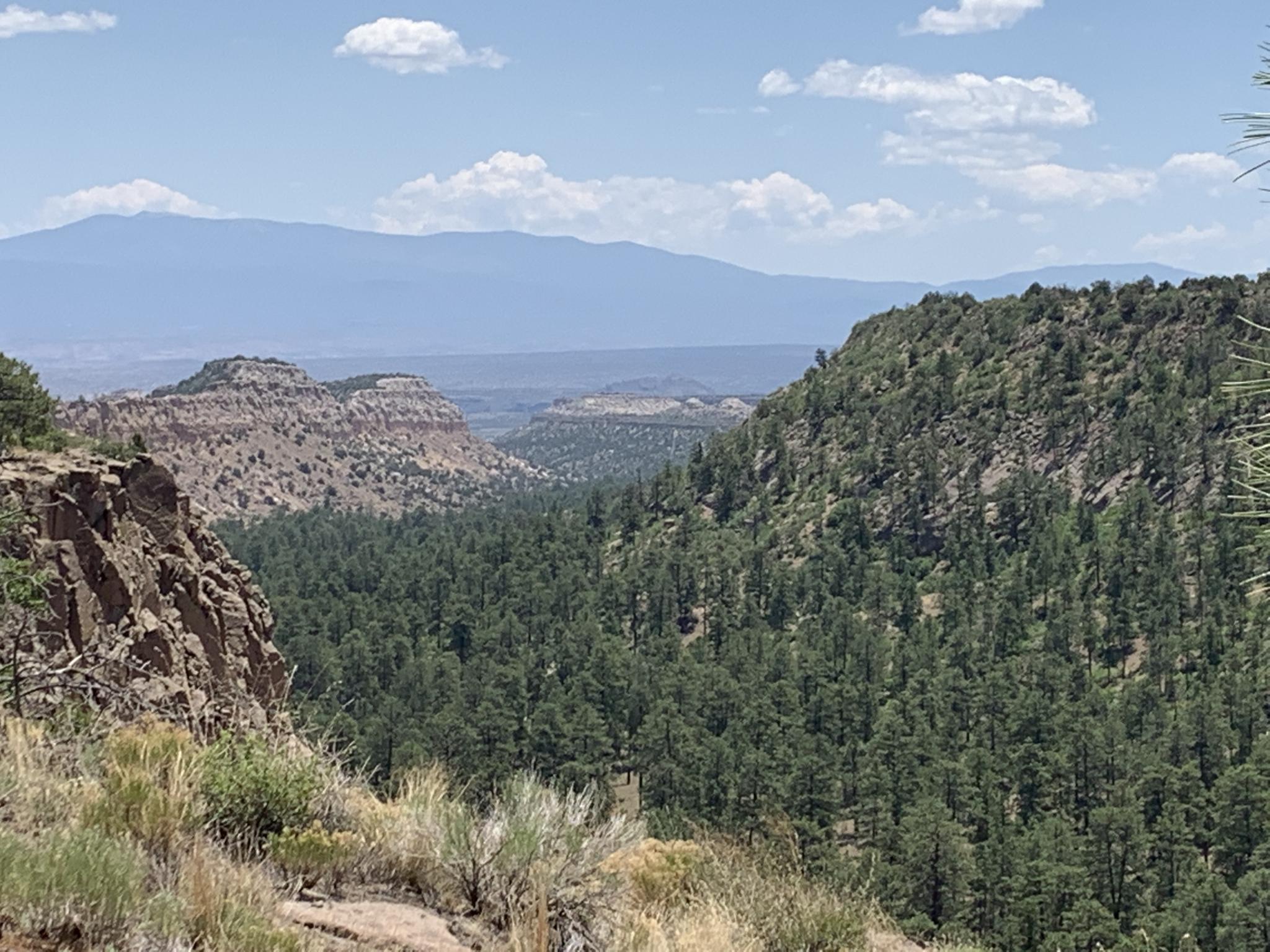 Sunny valley with dense pine forests, rocky cliffs, and distant hazy mountains.