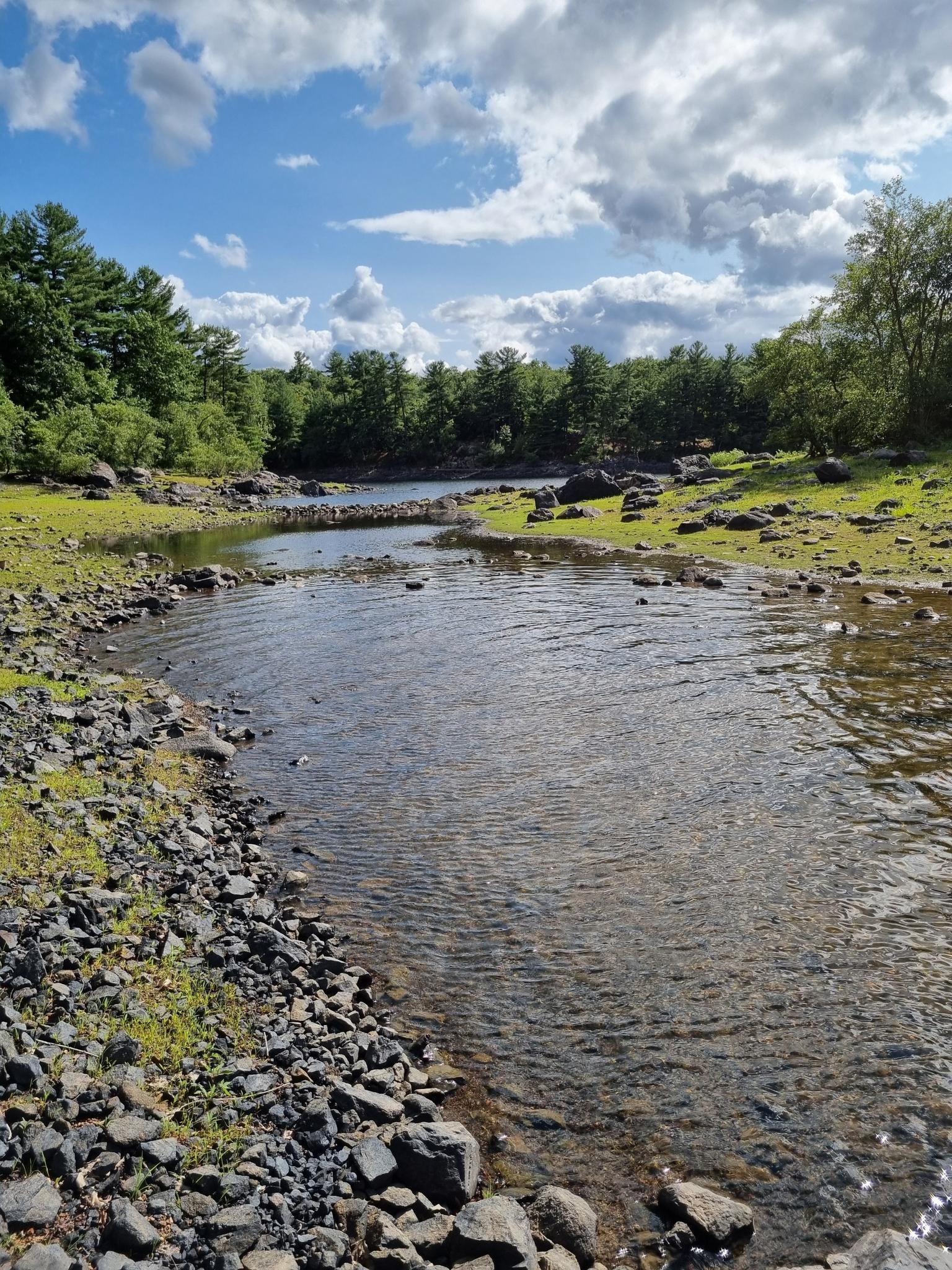 A shallow, rocky stream flows through a green, forested landscape.