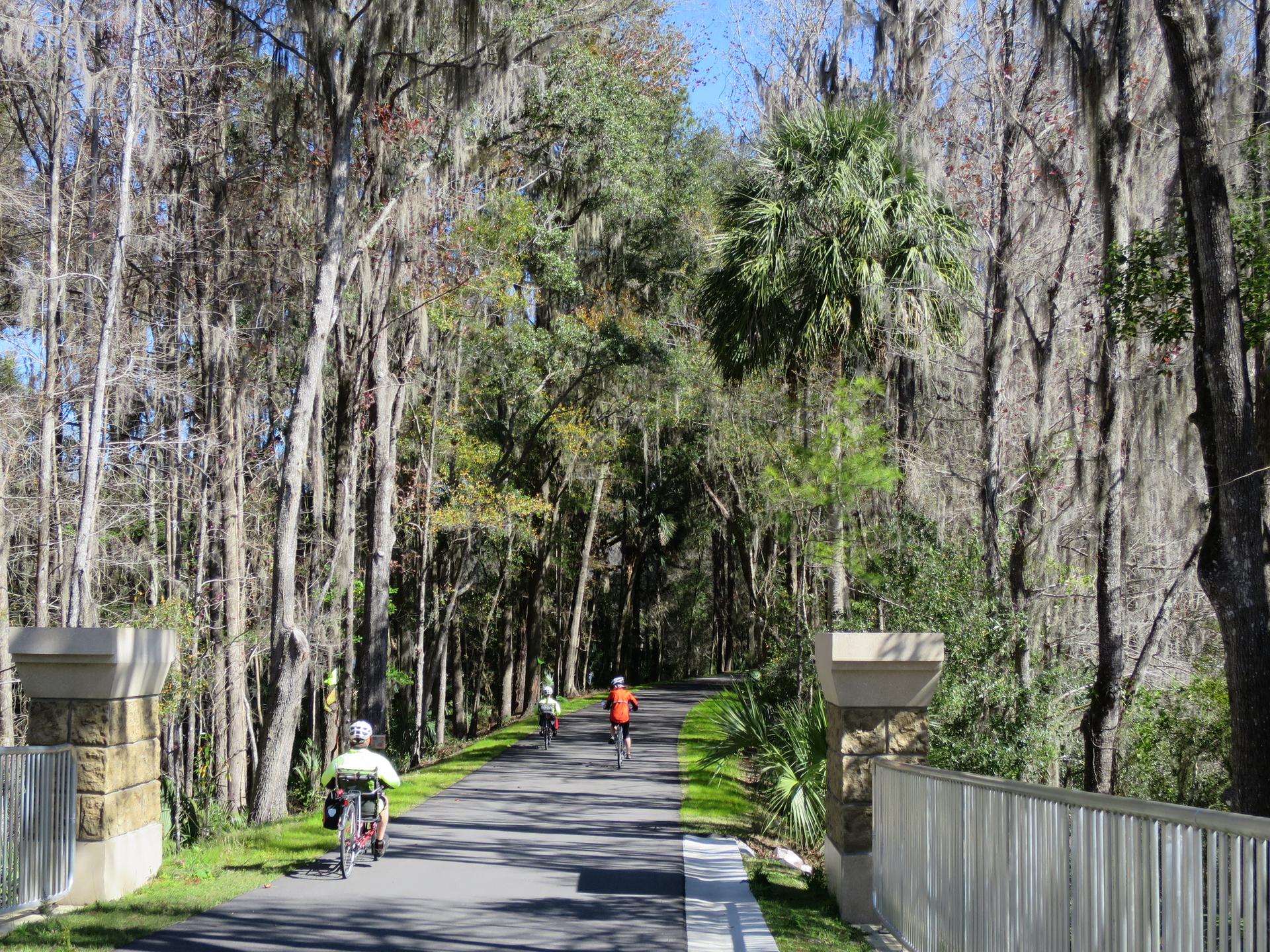 Cyclists ride on a sunny paved path through a lush forest with mossy trees.