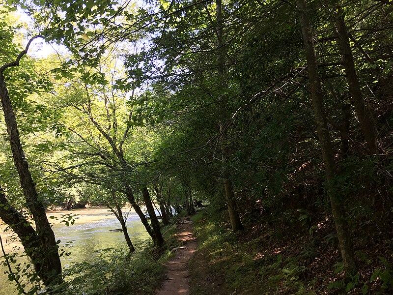 A sunlit dirt path winds beside a river through a dense green forest.