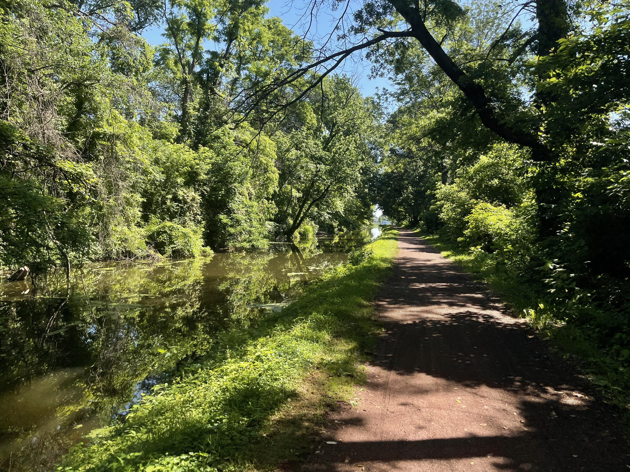 Sunlit dirt path next to a reflective canal, surrounded by vibrant green trees.
