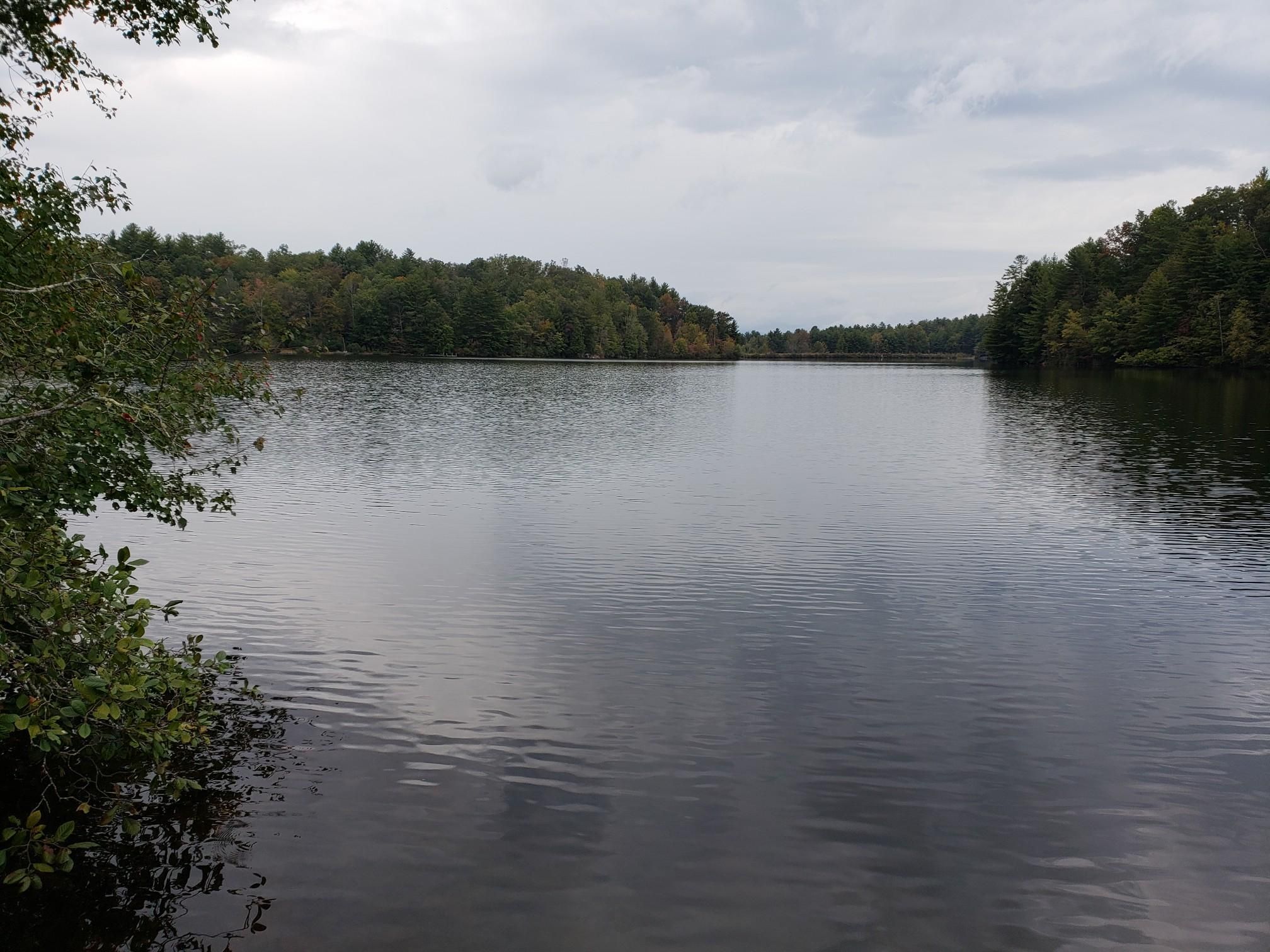 Calm lake surrounded by dense green forest under an overcast sky. - Reasonover Creek and Mine Mountain Loop