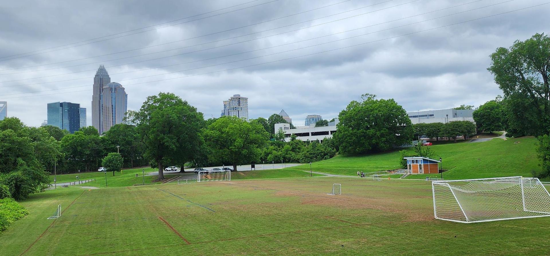 Overcast view of a green park field with soccer goals and a city skyline.