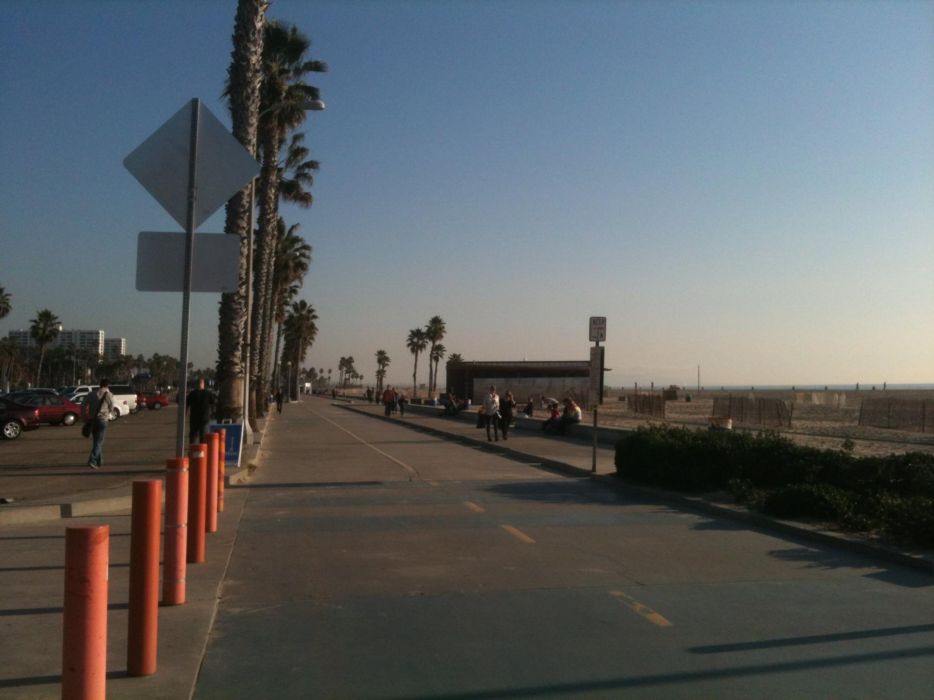 Palm trees line a sunny path next to a sandy beach.