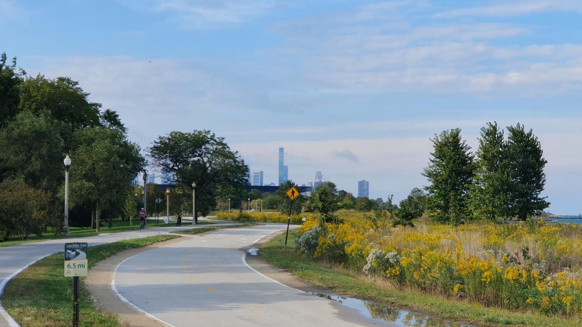 Curved paved road beside yellow wildflowers, with a distant city skyline.