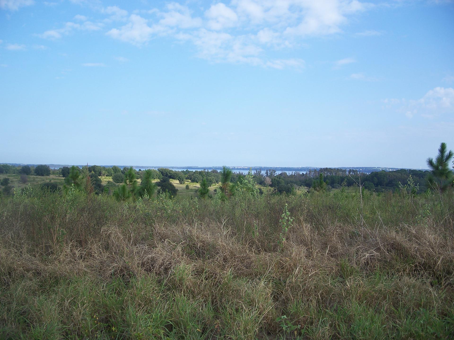 Expansive grassy field with distant trees and water under a bright sky.