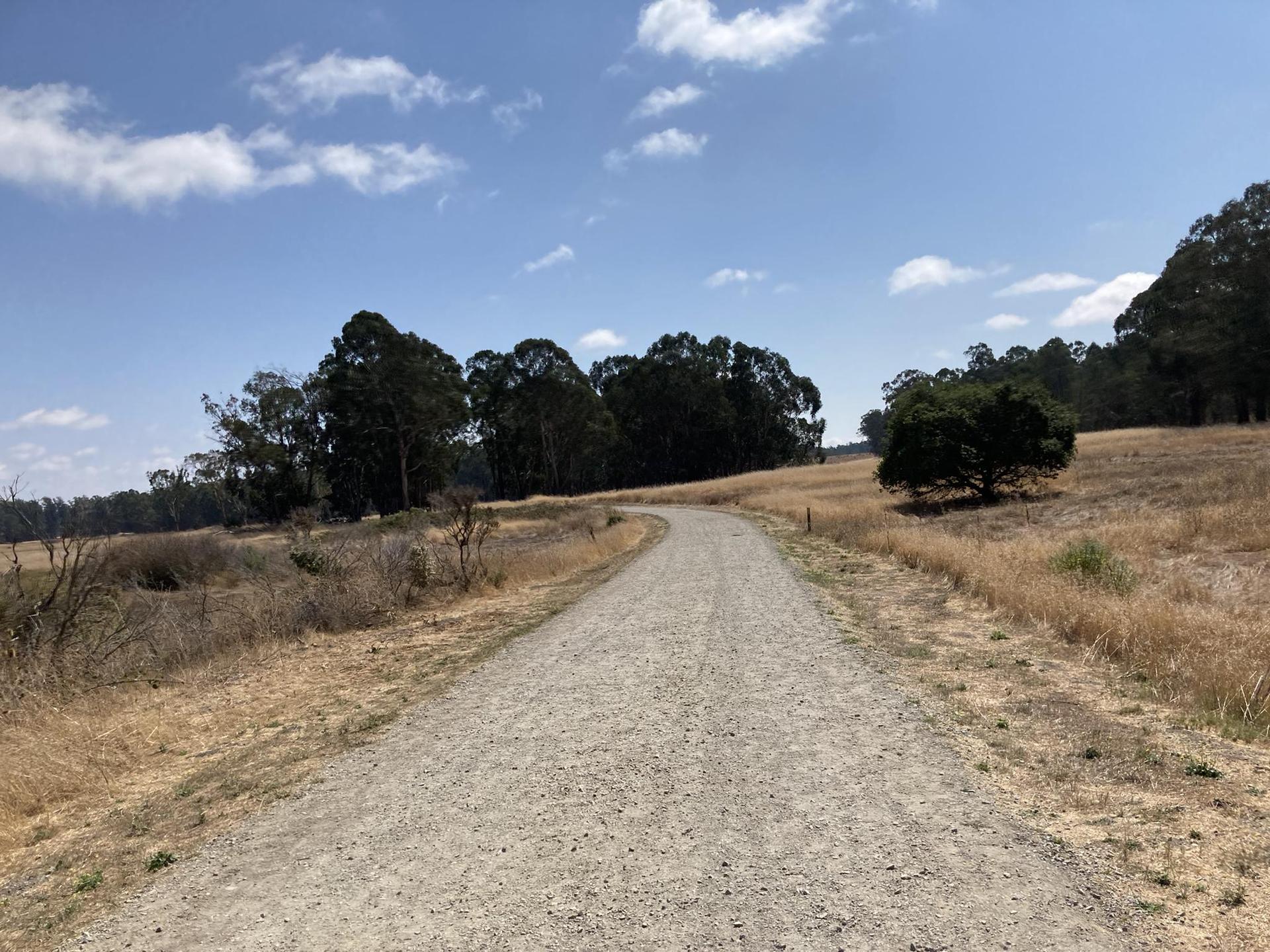 A winding dirt path through dry grassy fields under a bright sky.
