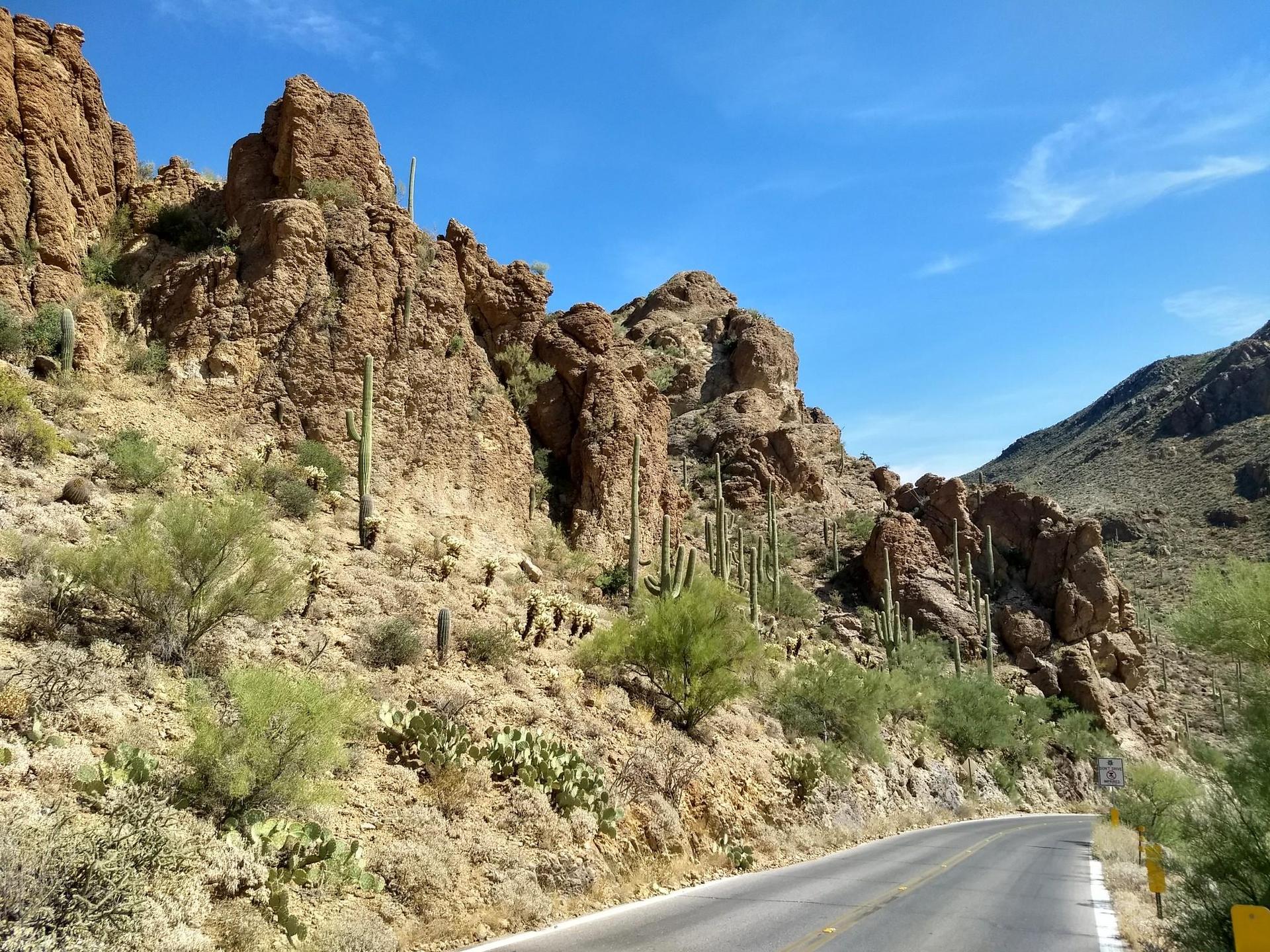 Winding paved road through a rocky desert canyon with saguaro cacti.