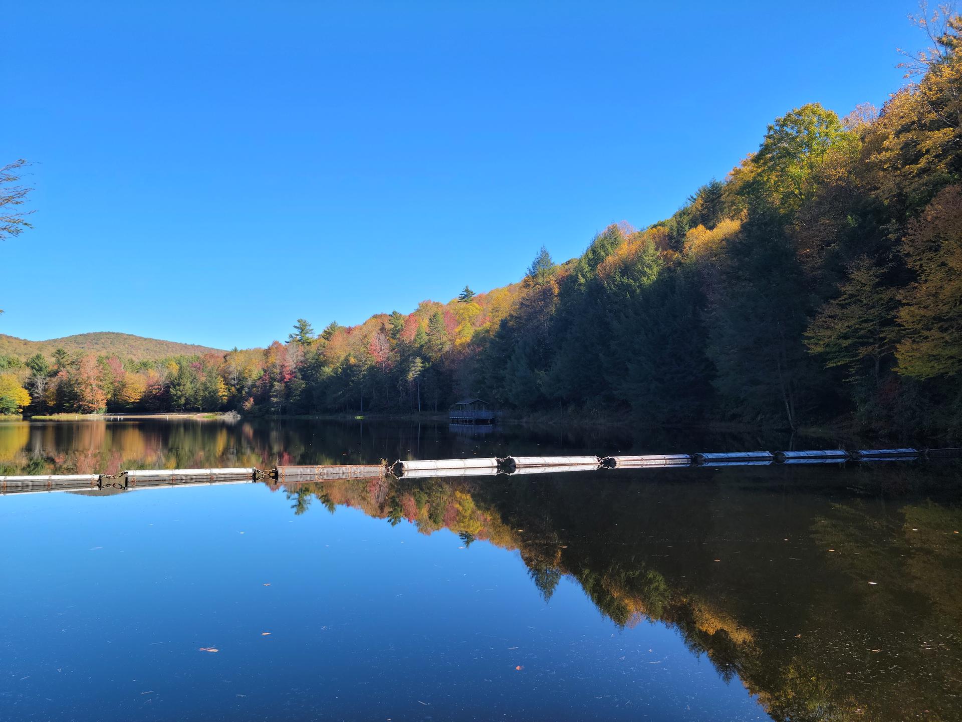 Calm lake reflecting sunny autumn trees under a clear blue sky.