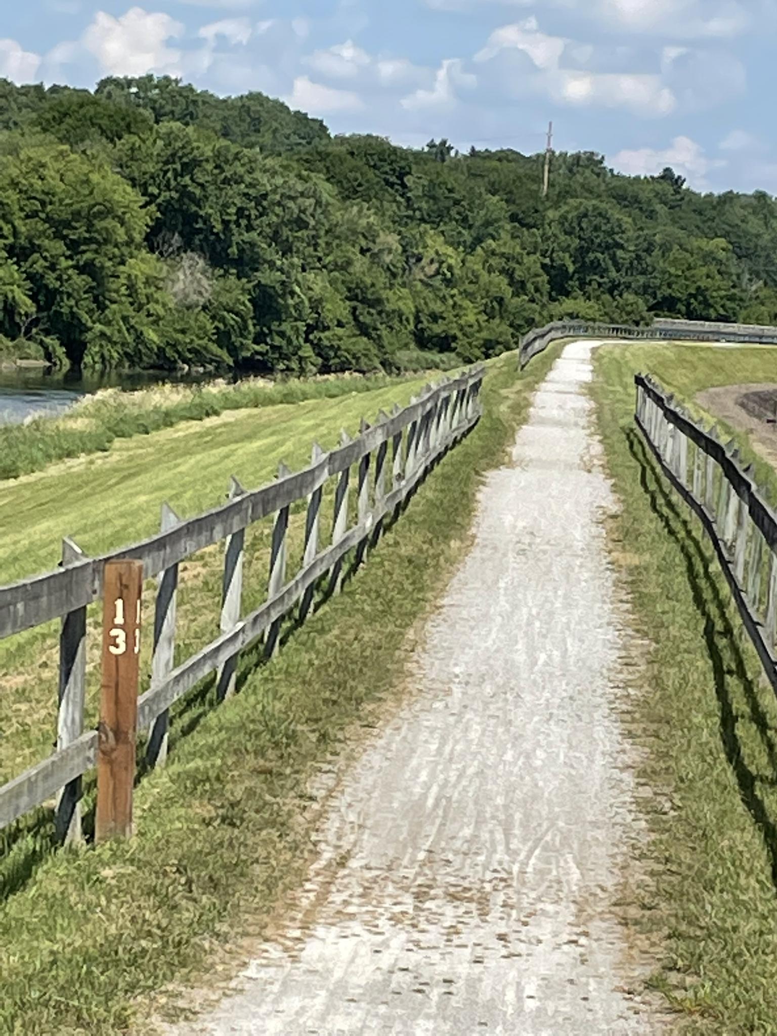 Sunny gravel path alongside a wooden fence, green riverbank, and distant trees.