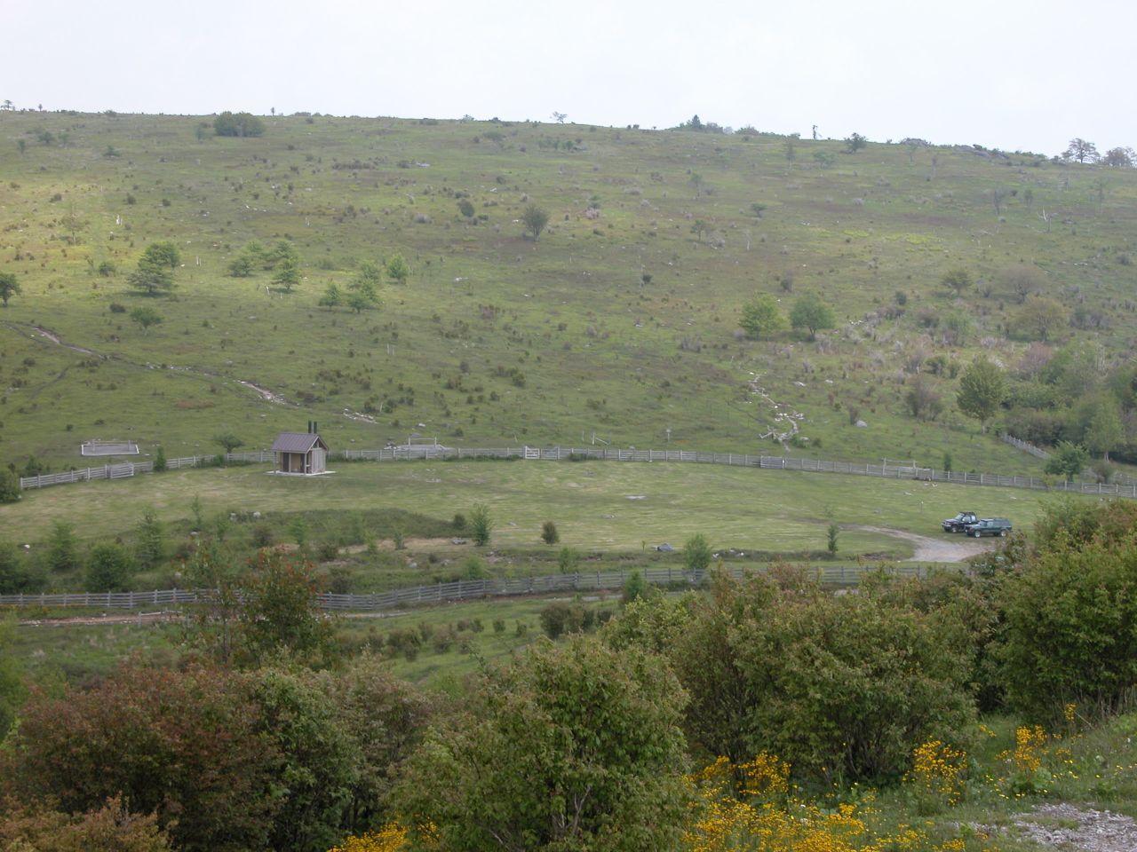 Vast, treeless green hills with a small building and distant car.