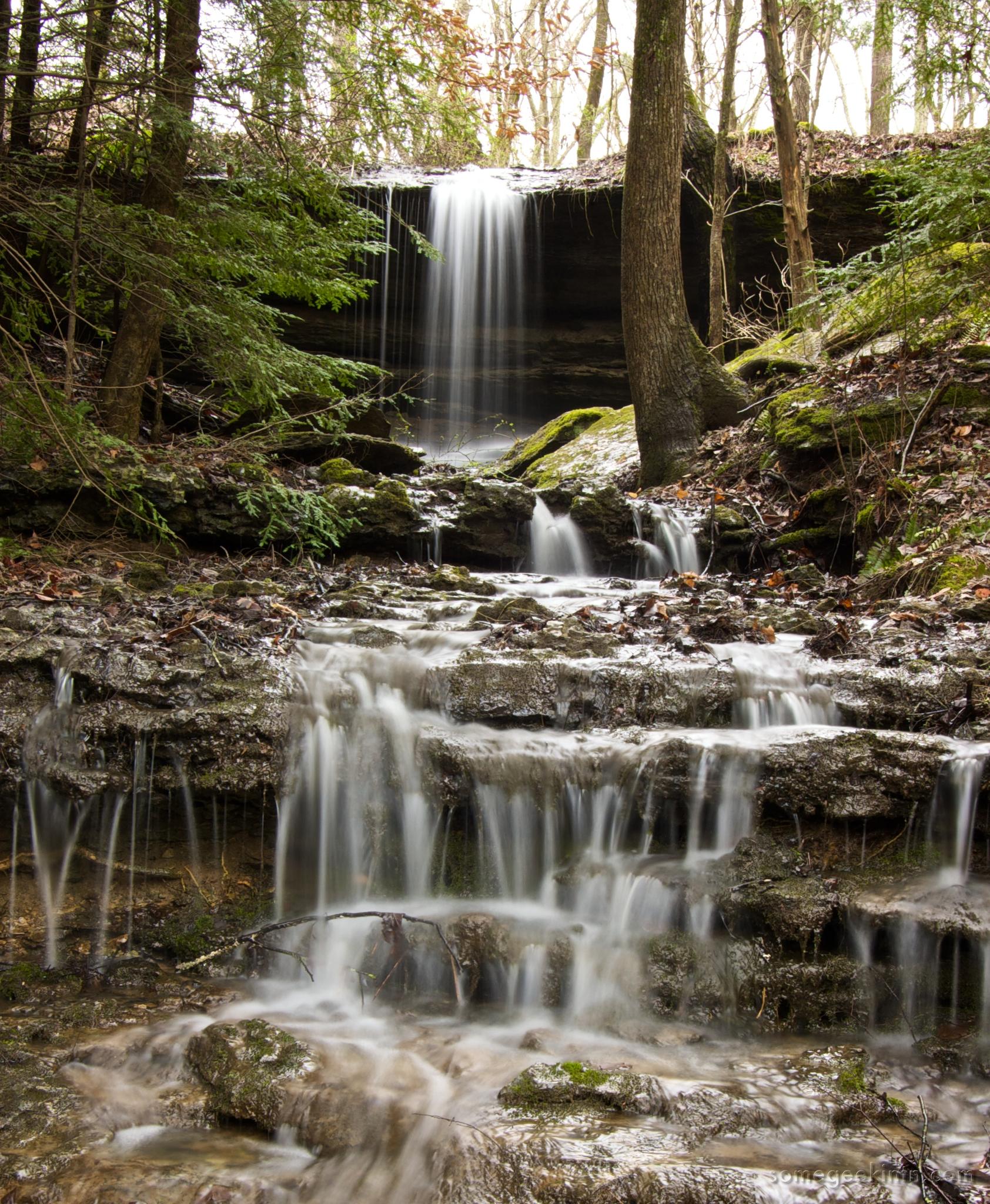 Tiered waterfall flowing over mossy rocks in a dense, softly lit forest.