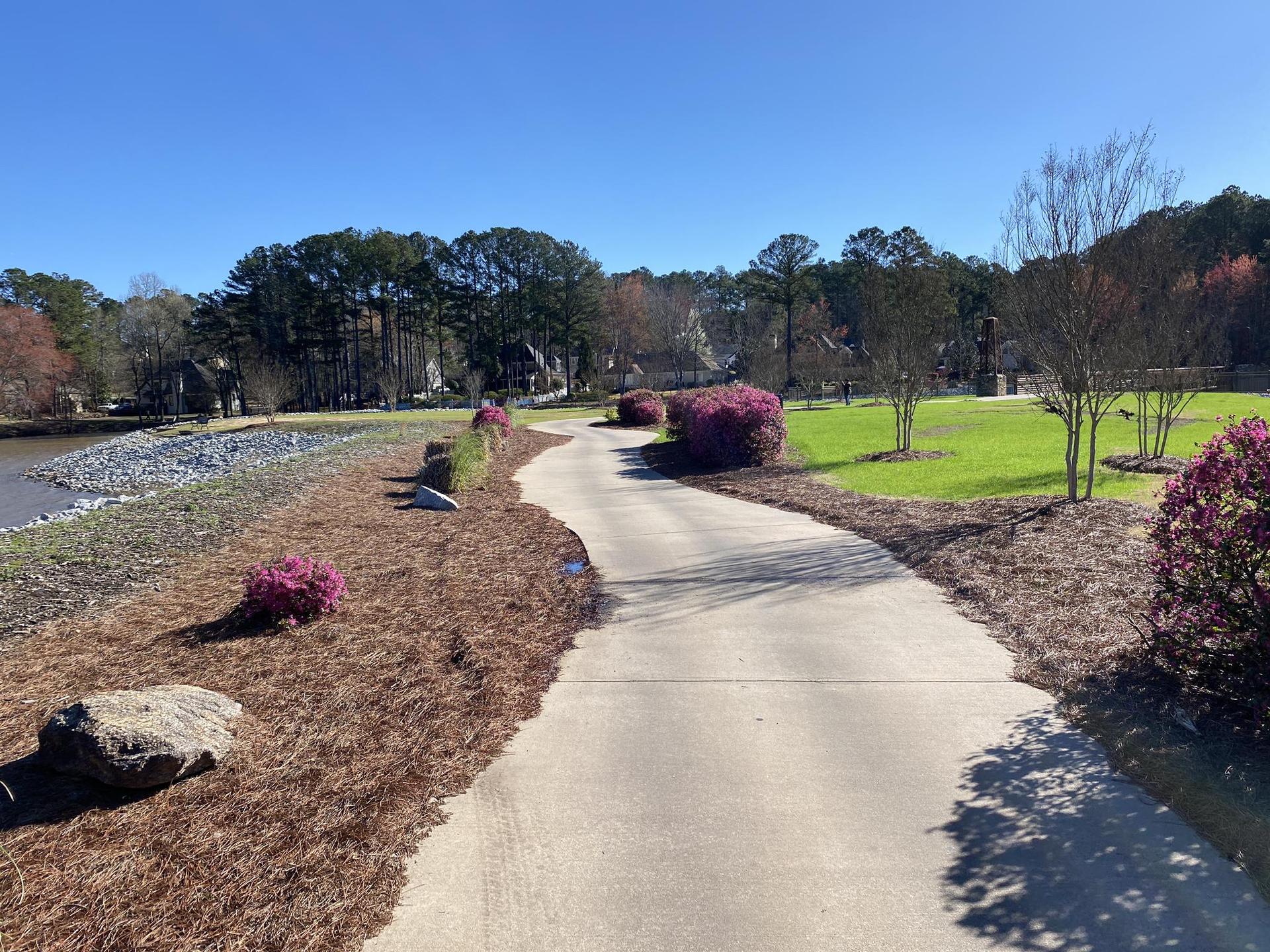 Paved path curving beside a lake with pink flowering bushes on a sunny day.