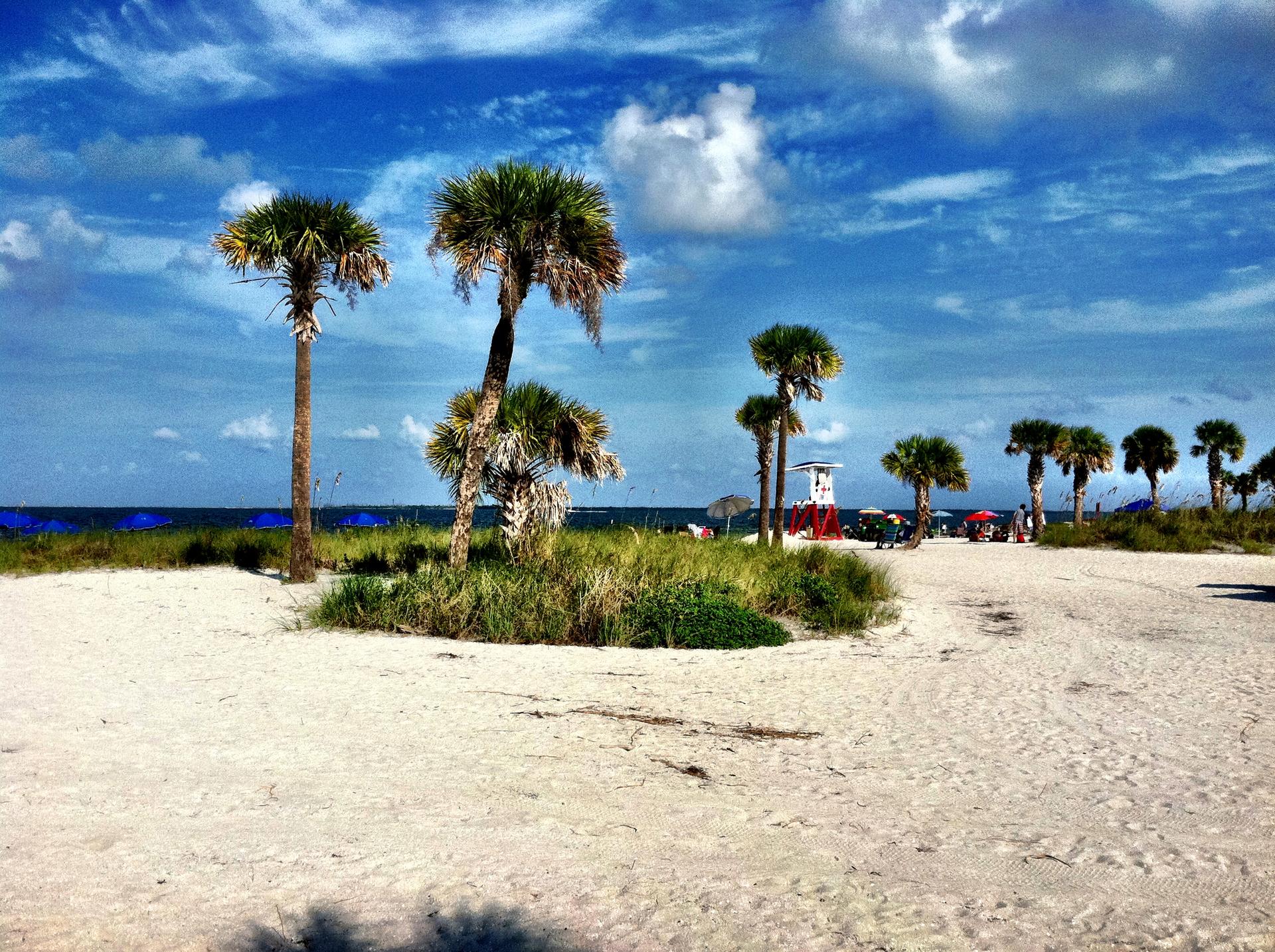 Bright tropical beach scene with palm trees, ocean, and a distant lifeguard stand.