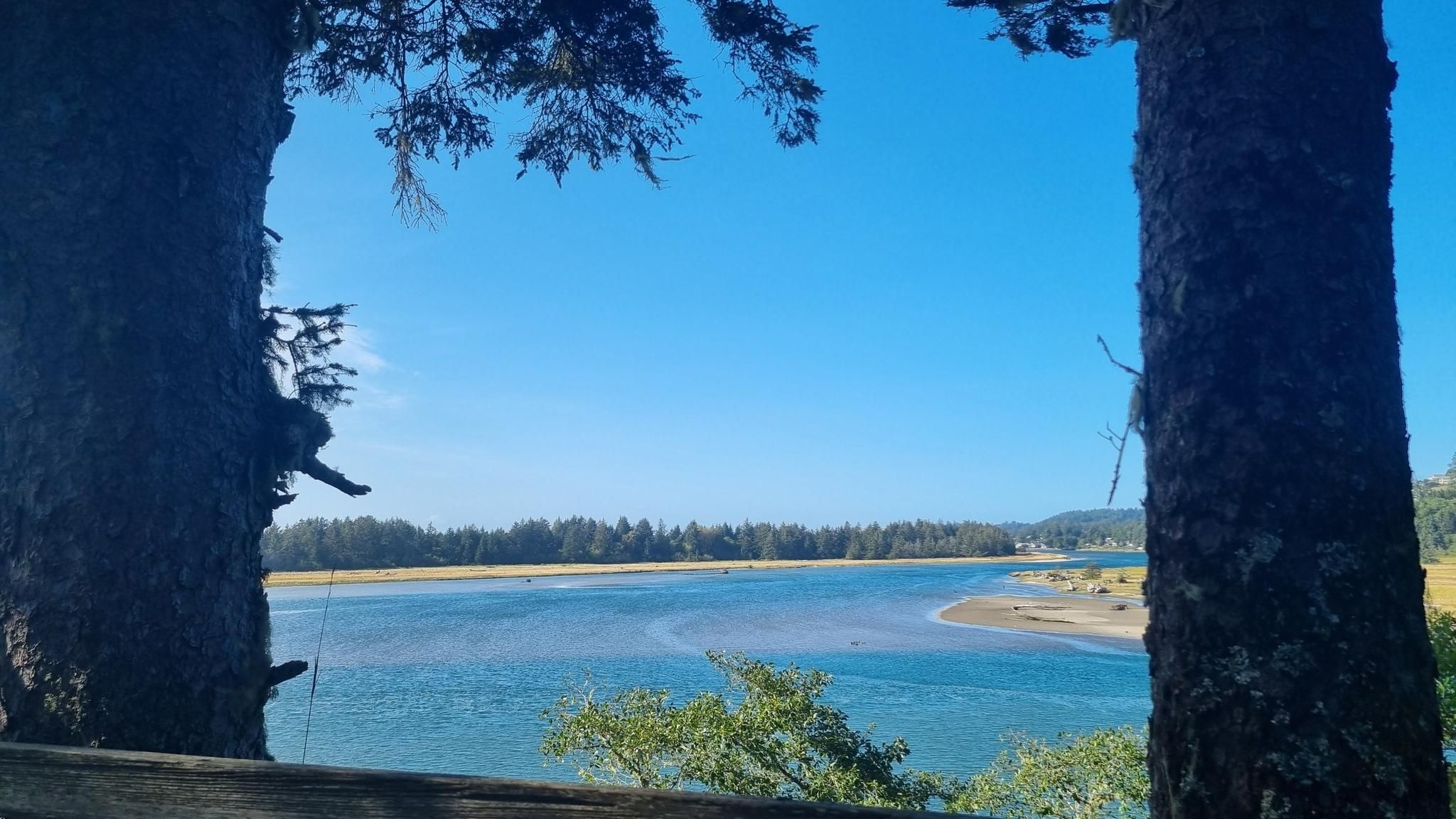Serene blue water framed by two large tree trunks and distant forest. - Two Rivers Trail Loop