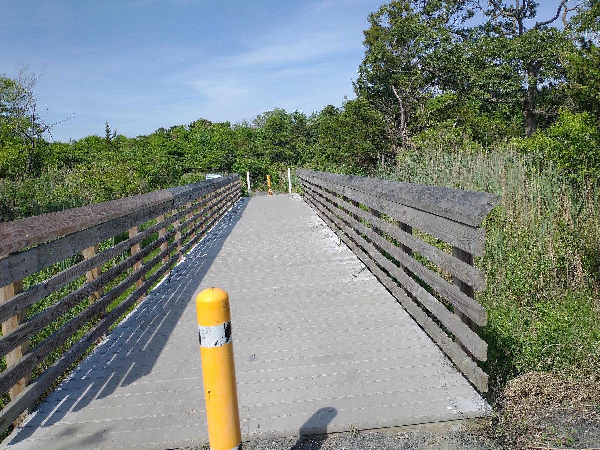 Wooden boardwalk with railings extending through green marshland.