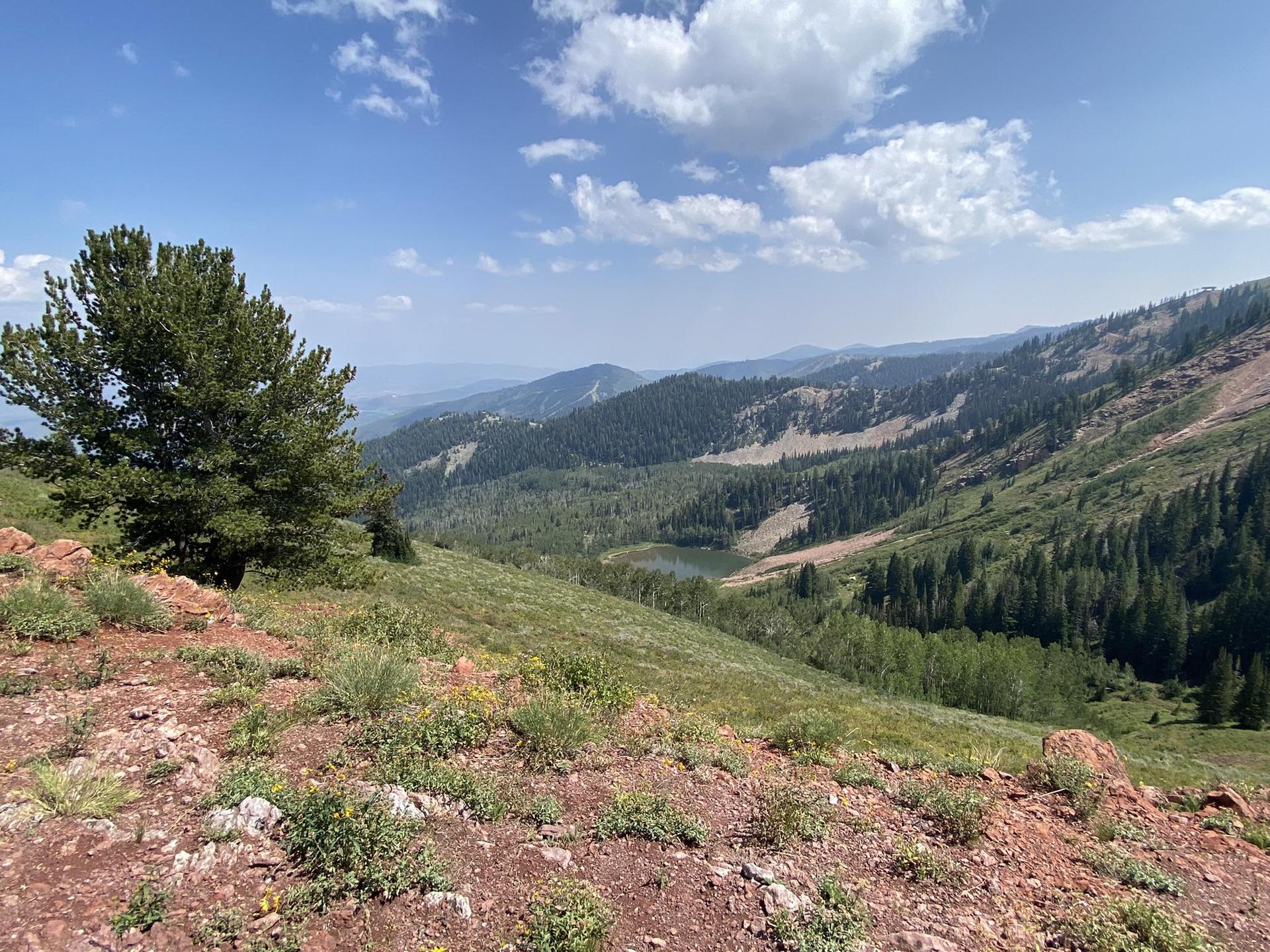 Expansive mountain vista with green slopes, a small lake, and scattered trees.