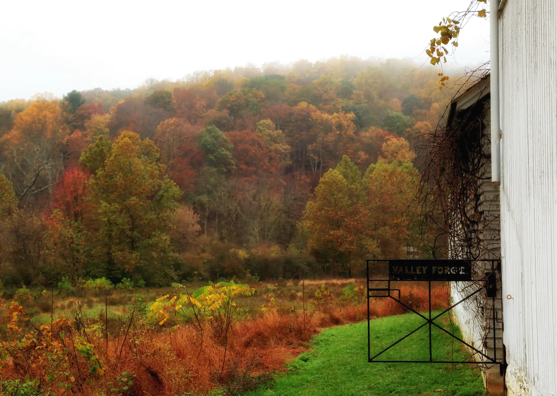 A white building next to a vibrant autumn forest under an overcast sky.