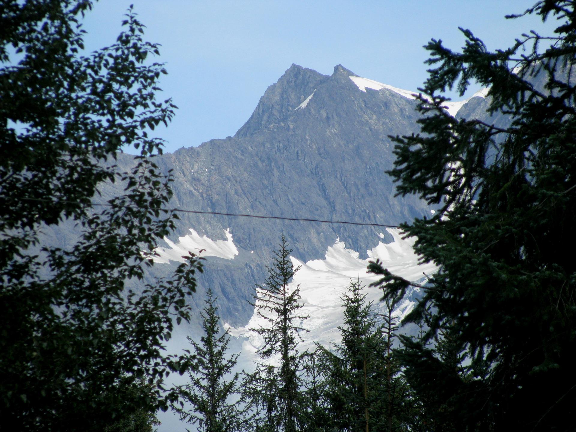 Majestic snow-capped mountain peak framed by green forest trees on a clear day.