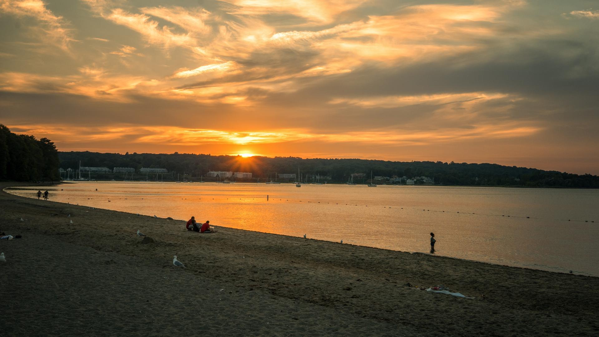 Golden sunset over a beach and water with people enjoying the evening.