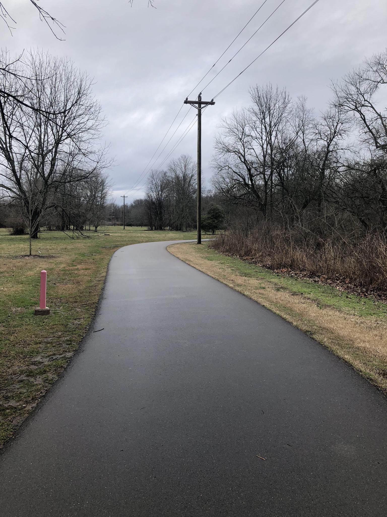 Wet paved path curving through a park with bare trees under an overcast sky.