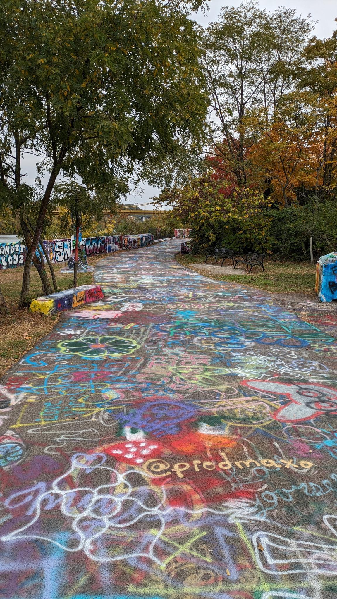 A paved path covered in vibrant graffiti, surrounded by autumn trees.
