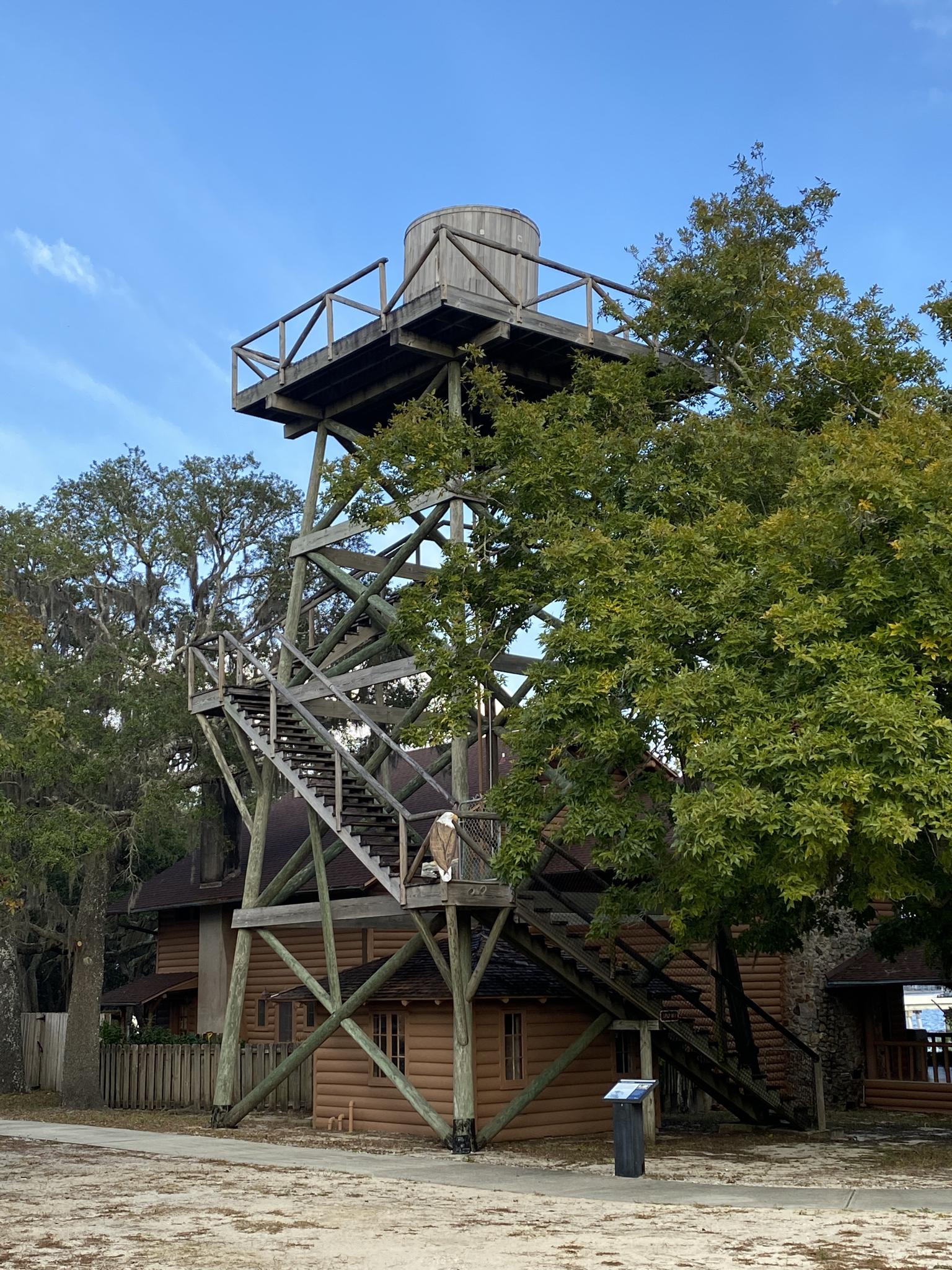 A tall wooden observation tower with a water tank stands among green trees.