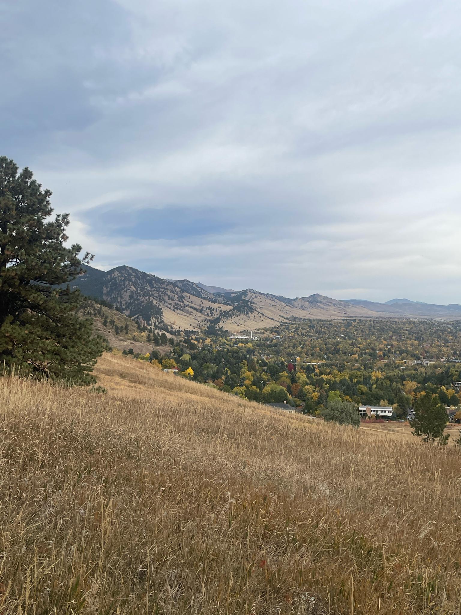 Overcast view of dry grassy hills, a green valley, and distant mountains.