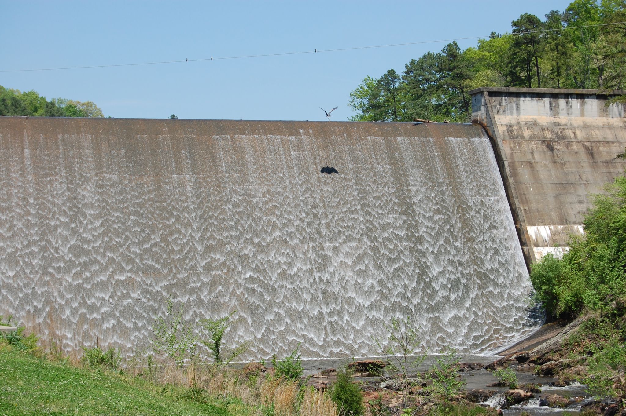 Water cascades over a concrete dam, a dark shape on its face, under clear skies. - Southwest Park to Back Creek loop