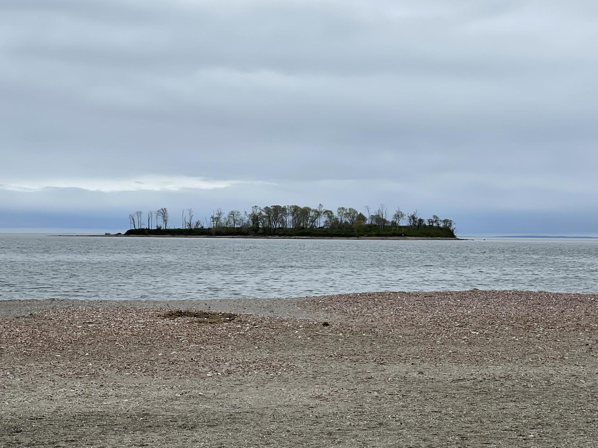 Calm water and pebble beach facing a tree-covered island under an overcast sky.