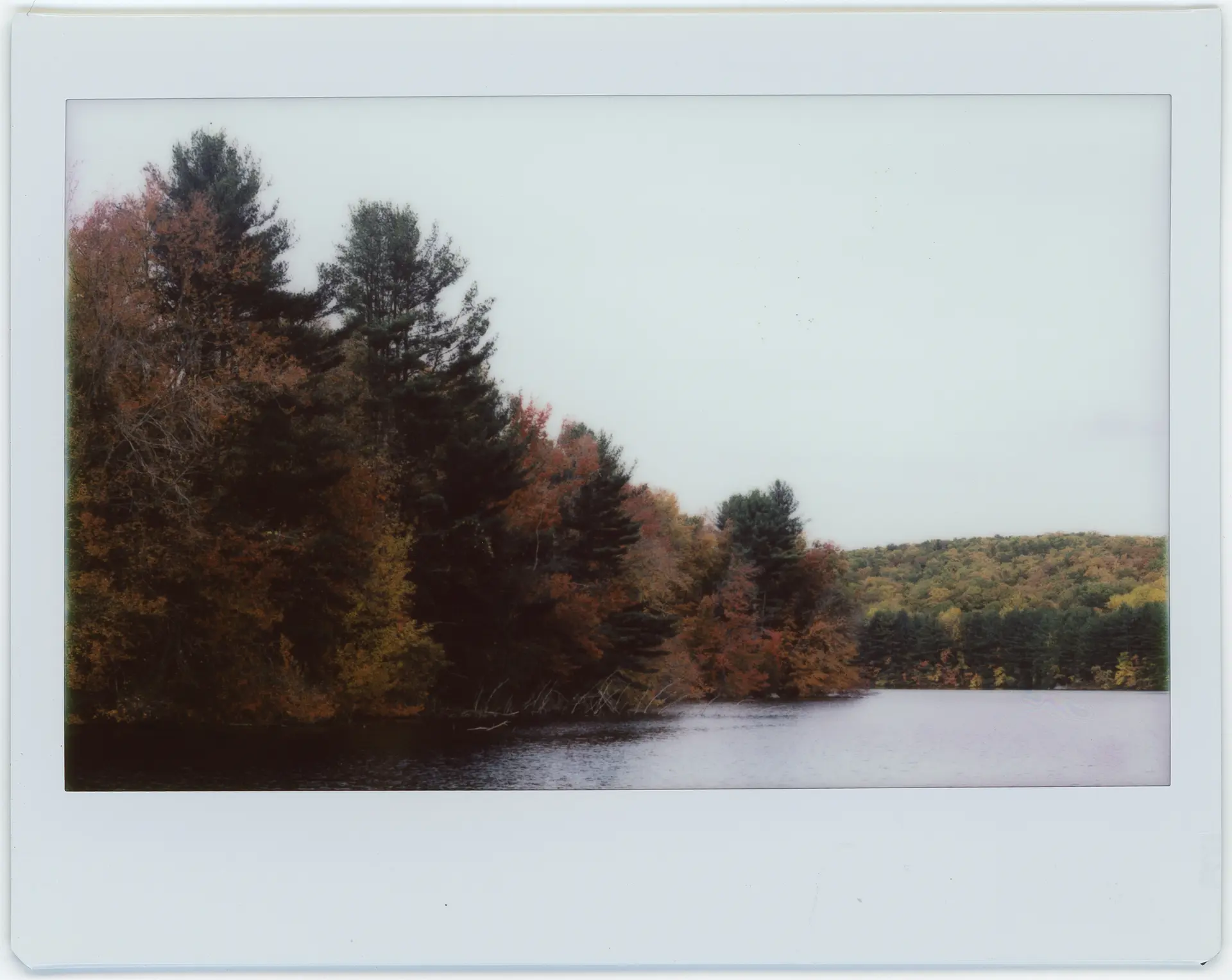 Forest with autumn foliage along a calm lake under an overcast sky.
