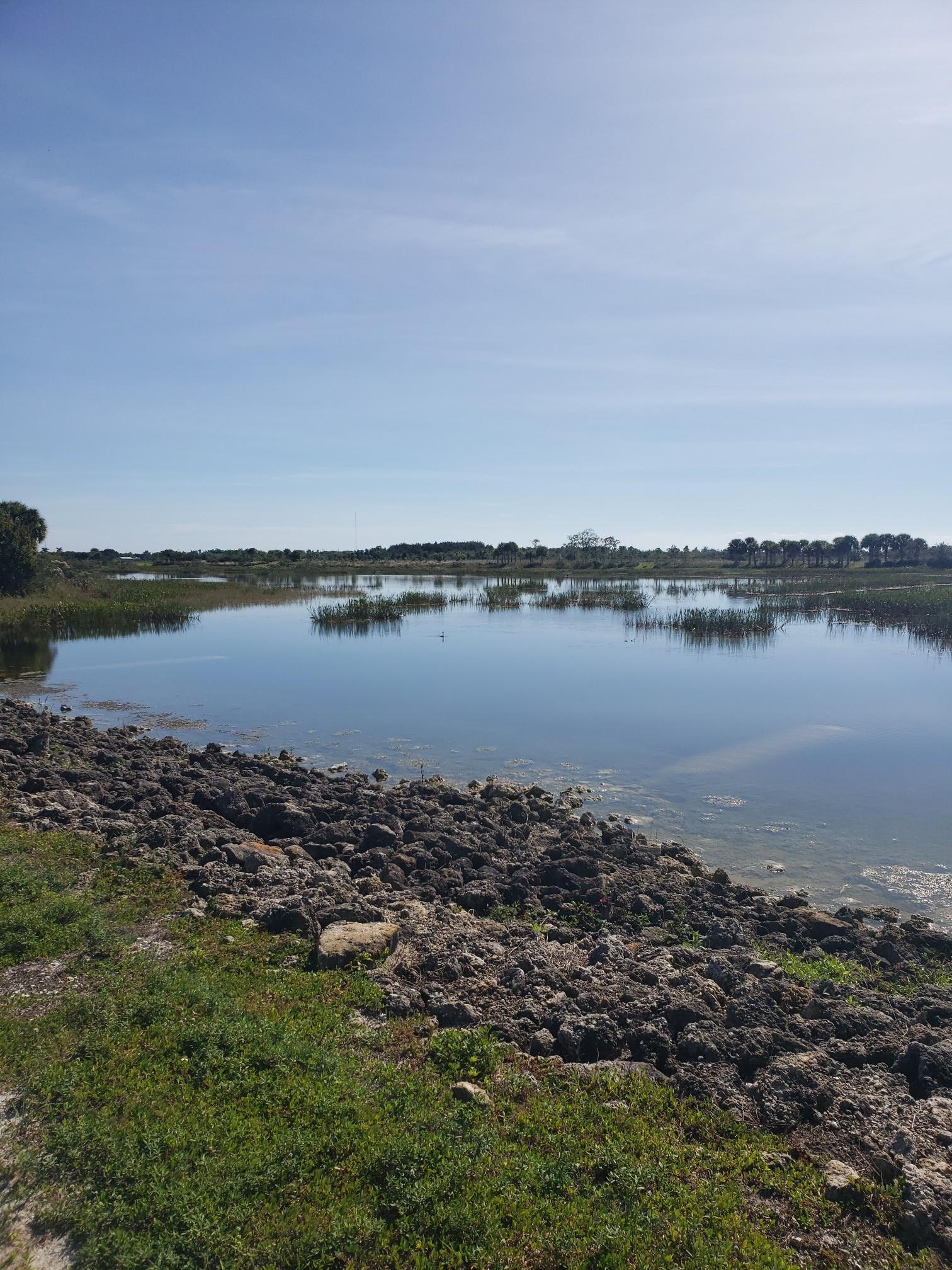 Bright day over a calm lake with rocky banks and green vegetation.