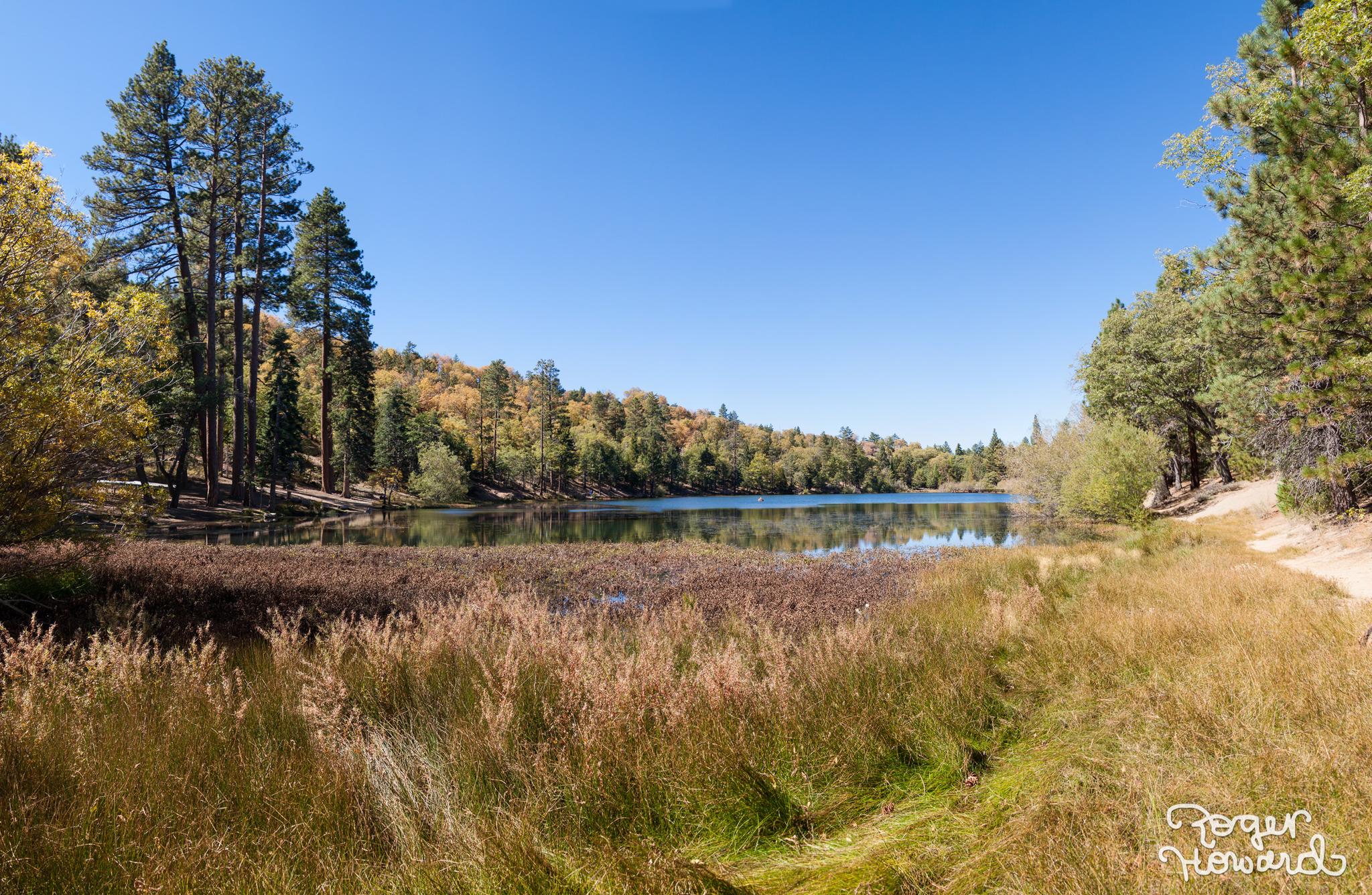 Serene lake surrounded by autumn trees and tall grass under a bright blue sky.