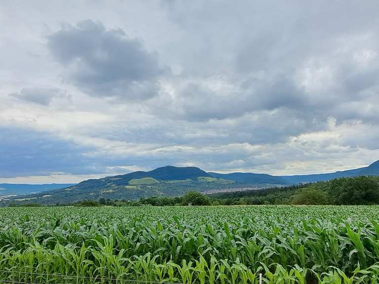 Bench with a view of the Teck and 3 Kaiserberge mountains Mountain