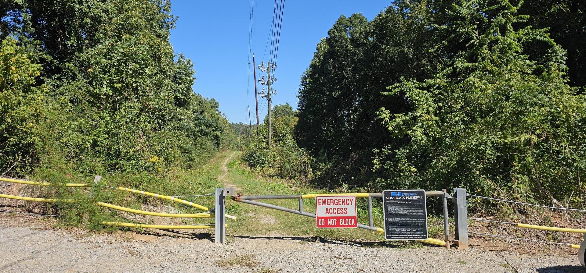 A metal gate blocks a dirt path leading into a sunny, green forest.
