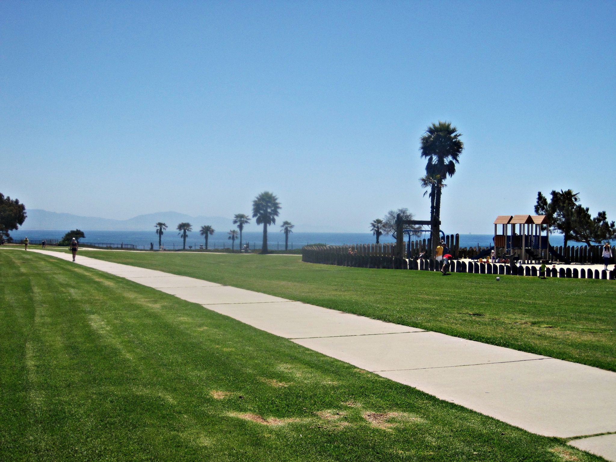 Sunny park with green grass, path, palm trees, and distant ocean. - Santa Barbara Station to Shoreline Park run via Leadbetter Beach