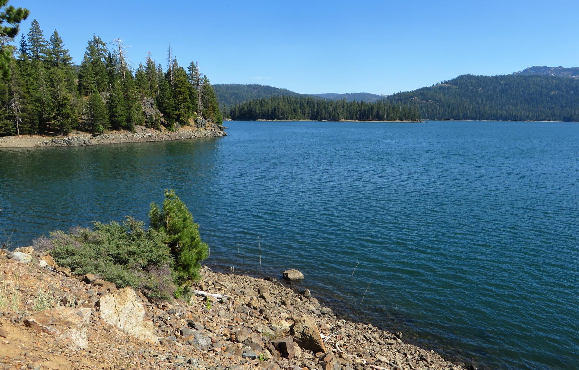Clear blue lake with rocky shore and dense pine forest under sunny sky.