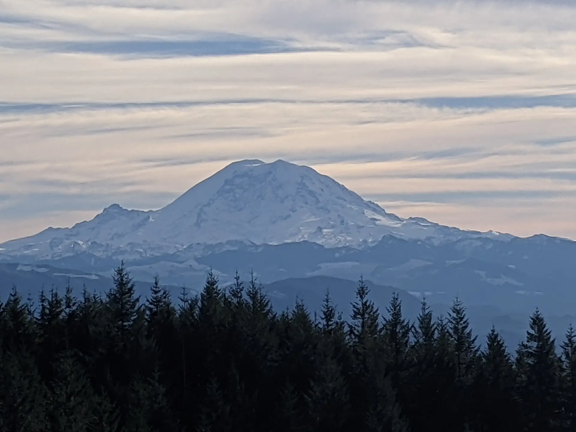 A majestic snow-capped mountain rises above a dark evergreen forest.